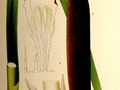 Pałka szerokolistna (Typha latifolia)
Autor: Carl Axel Magnus Lindman (1856–1928), źródło: Bilder ur Nordens Flora, Stockholm